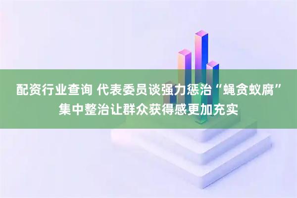 配资行业查询 代表委员谈强力惩治“蝇贪蚁腐”集中整治让群众获得感更加充实